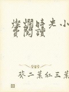 灿烂时光小说免费阅读