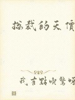 总裁的天价宝贝