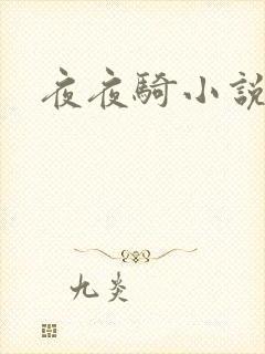 夜夜骑小说