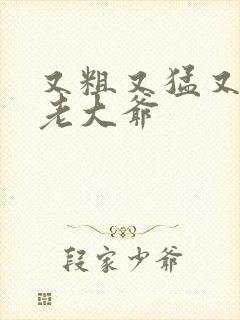 又粗又猛又大爽老大爷