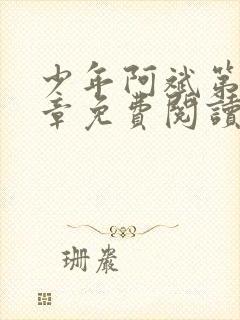 少年阿斌第13章免费阅读