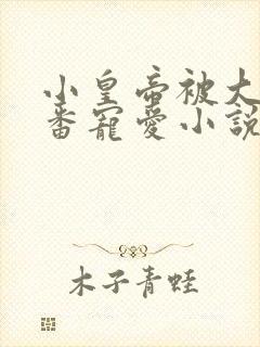 小皇帝被大臣轮番宠爱小说