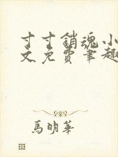 寸寸销魂小说全文免费笔趣阁