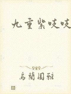 九重紫吱吱小说