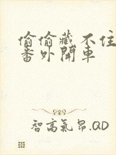 偷偷藏不住婚后番外开车