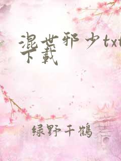 混世邪少txt下载