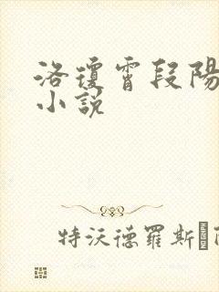 洛琼霄段阳澍的小说