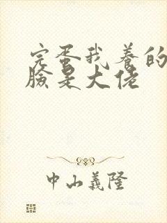 完蛋我养的小白脸是大佬