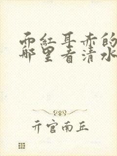 面红耳赤的小说哪里看清水村花