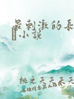 最刺激的长篇乱惀小说