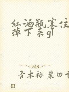 红酒瓶塞住不准掉下来gl