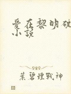爱在黎明破晓前小说