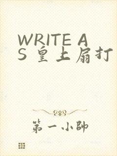 WRITE AS 皇上扇打