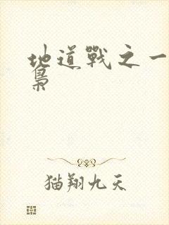 地道战之一代功枭