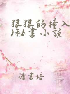 狠狠的撞入(h)秘书小说