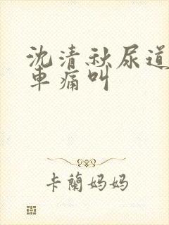 沈清秋尿道扩张车痛叫