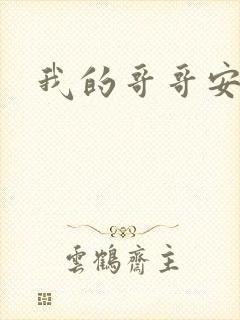 我的哥哥安小天