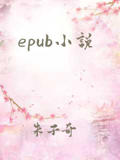 epub小说
