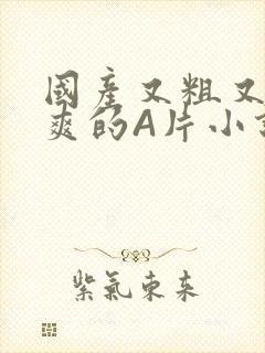 国产又粗又黄又爽的A片小说