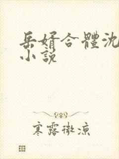 岳婿合体沈绝的小说