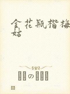 金花瓶楷梅花尼姑