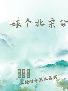 嫁个北宋公务员