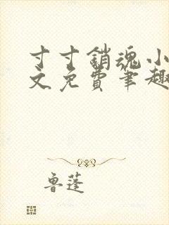 寸寸销魂小说全文免费笔趣阁