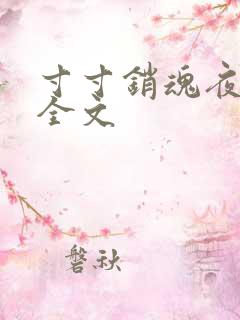 寸寸销魂夜春光全文