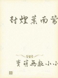 封煜叶南莺小说