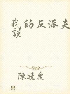我的反派夫君小说