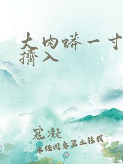 大肉蟒一寸一寸挤入