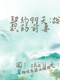 契约99天:总裁的前妻