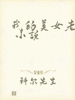 我的美女老婆们 小说