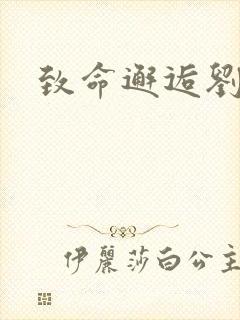 致命邂逅刘小寐