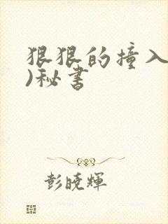 狠狠的撞入(h)秘书