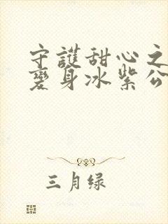 守护甜心之亚梦变身冰紫公主