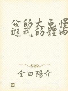 公的大龟慢慢挺进我的体内视频