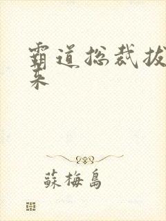 霸道总裁拔不出来