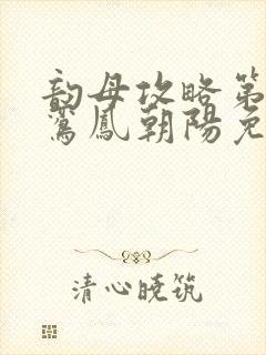 韵母攻略第二部鸾凤朝阳免费阅读