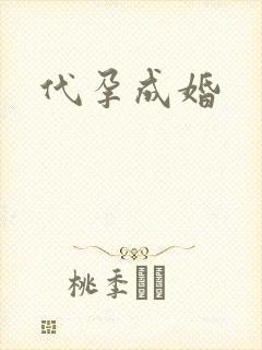 代孕成婚