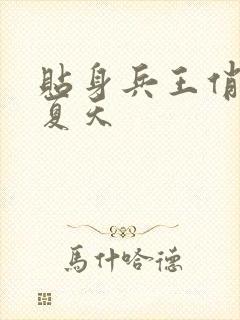 贴身兵王俏总裁夏天