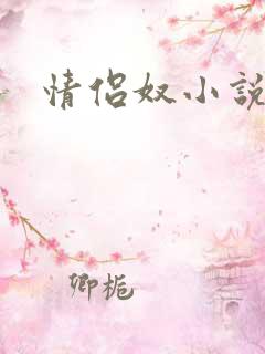 情侣奴小说
