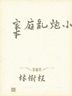 家庭乱炮小说全本