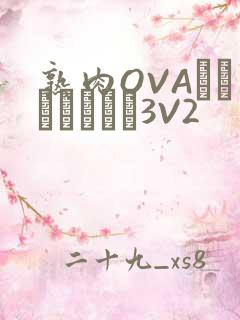 熟肉OVAちゃんはしたい3V2