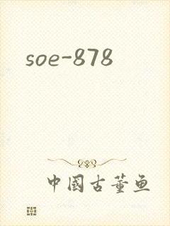 soe-878
