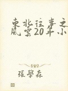 东北往事之黑道风云20年小说