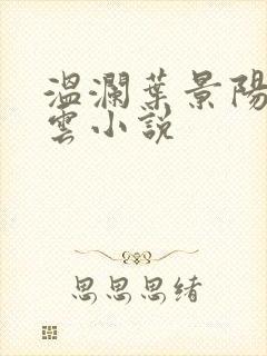 温澜叶景阳温云云小说