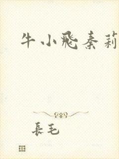 牛小飞秦莉莉