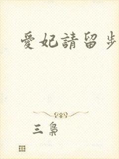 爱妃请留步
