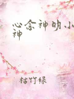 心念神明小说堕神